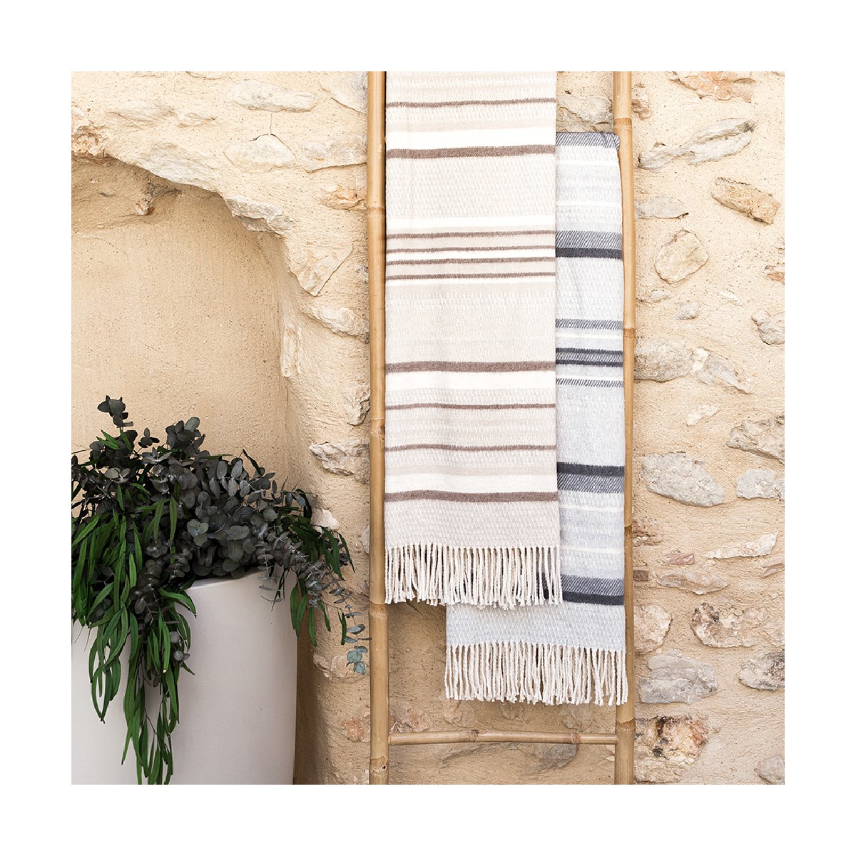 Plaid STRIPES Pielsa