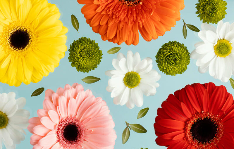 imprescindibles-vestir-salon-comedor-primavera