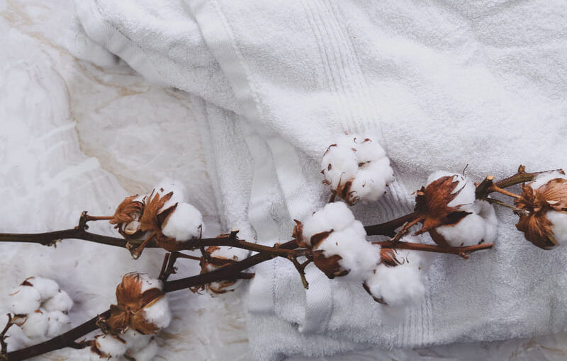 flores de algodón y toallas